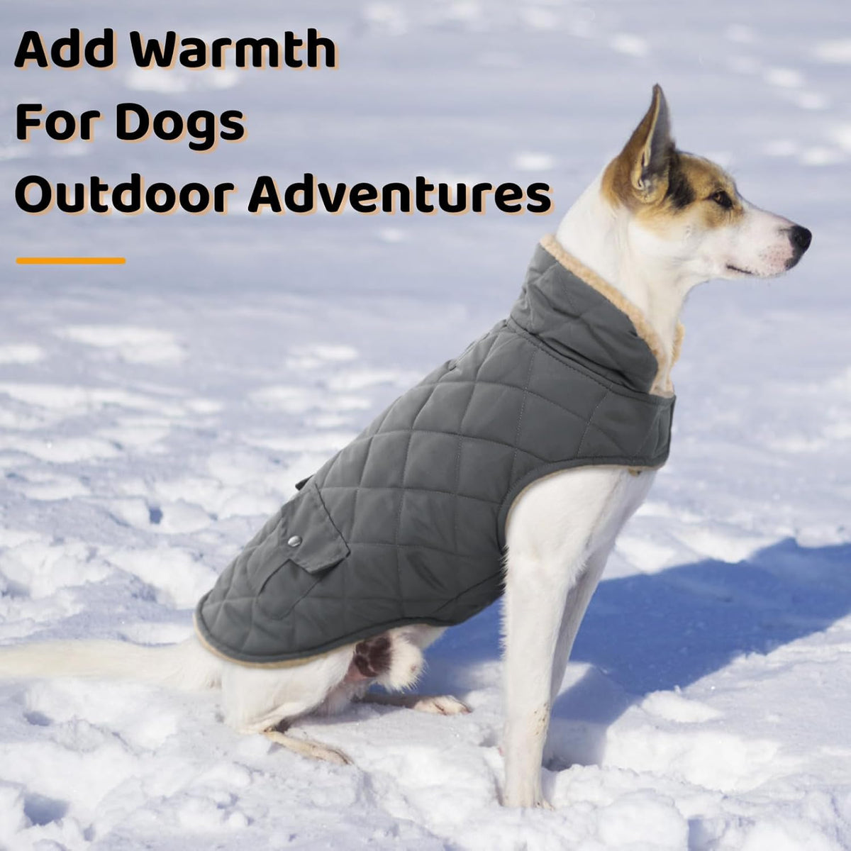 Queenmore Dog Winter Coat - Fleece Jacket, Waterproof Cold Weather Clothes, Thick Warm Cotton