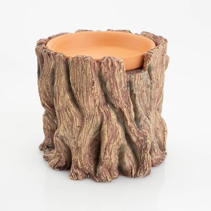 Reptile Hide Cave Resin – Moisture Keeping Reptile Shelter with Clay Water Basin for Leopard Gecko
