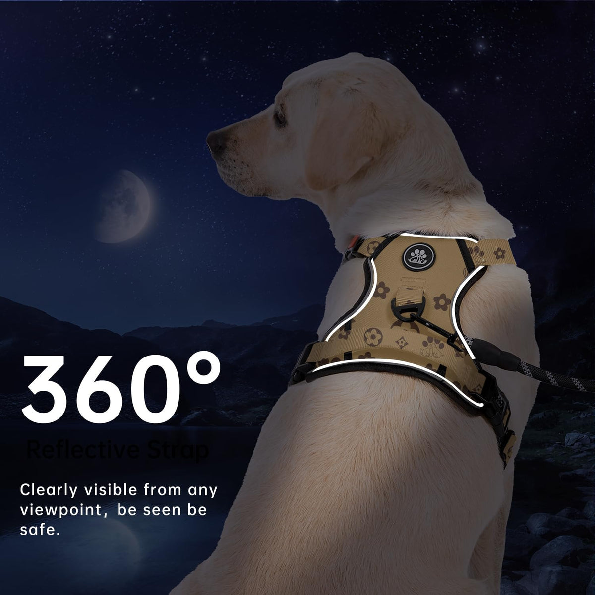 IVY&LANE No Pull Dog Harness with Leash Set, Reflective No Choke Pet Vest,Adjustable Oxford Dog