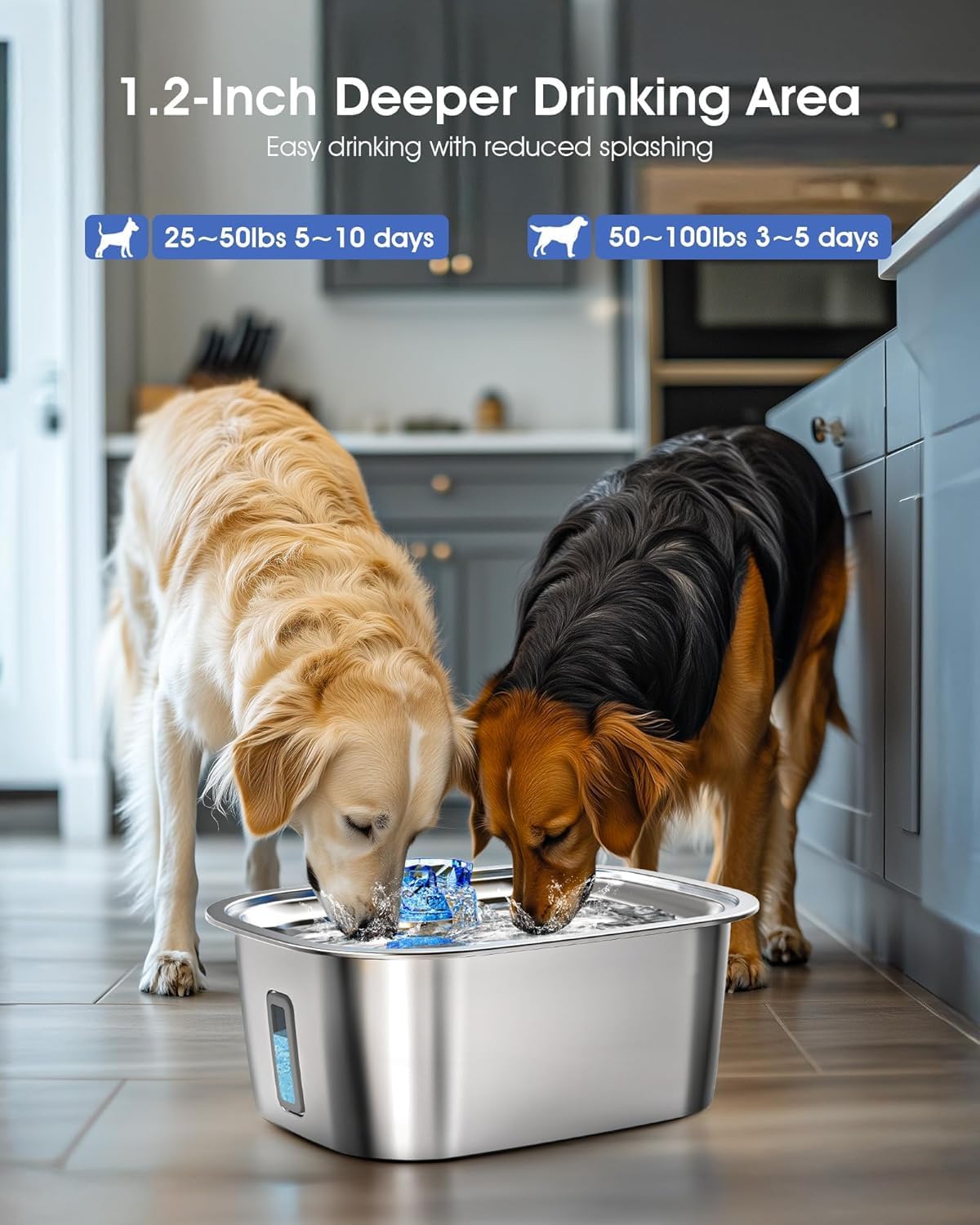Dog Water Fountain for Large Dogs - 3 Gallon Stainless Steel Dog Water Bowl Dispenser with 4