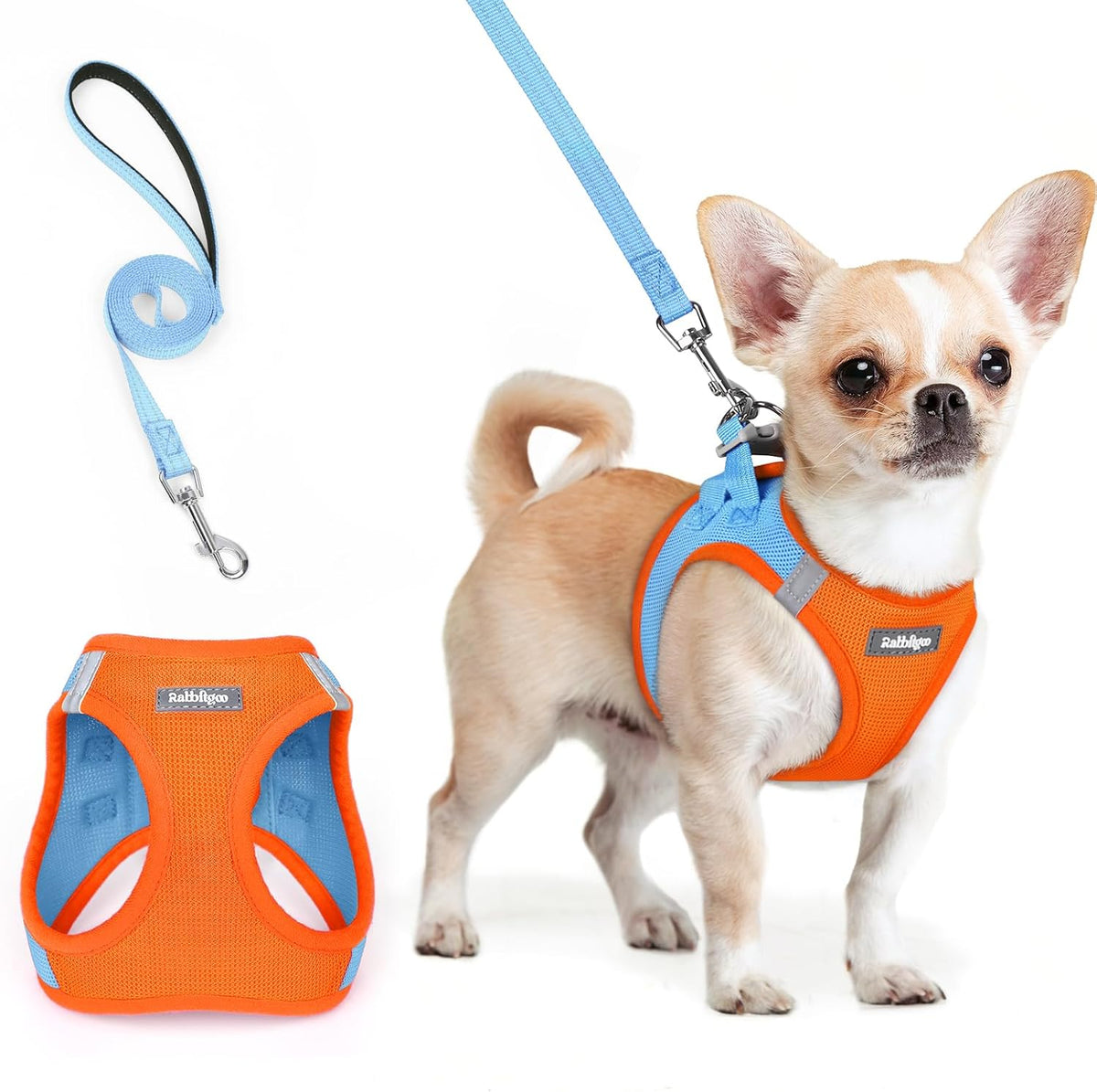 rabbitgoo Dog Harness Small Sized and Leash Set, Step in Soft Light Puppy Vest, Breathable Mesh Pet