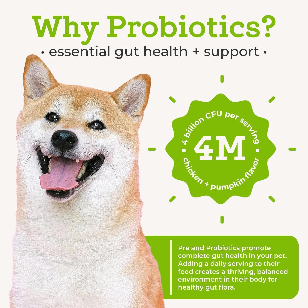 Dr. Joseph's VetPro Complete Advanced Powdered Pre & Probiotics for Dogs, 90 Scoops, Supports Gut