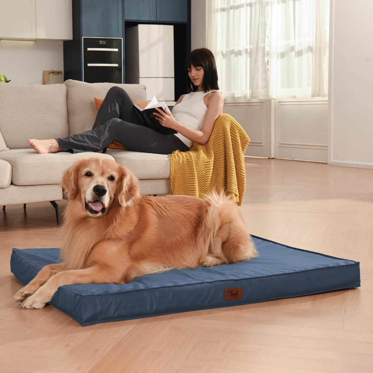 Outdoor Large Dog Bed, Waterproof Dog Bed for Large Dogs, Egg Crate Foam Pet Bed with Removable