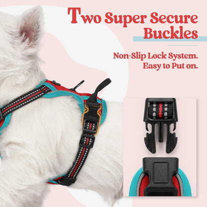 rabbitgoo Dog Harness No Pull with 2 Leash Clips, Adjustable Soft Padded, Reflective Oxford No