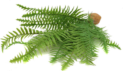 JIHAQUA Fake Fern Plants, Reptile Plastic Terrarium Decor, Reptiles Amphibians Tank Accessories for