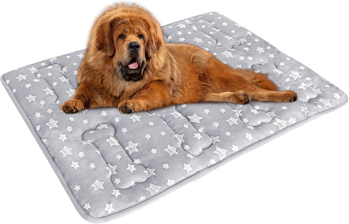 Dog Crate Mat (48" X 30"), Soft Dog Bed Mat with Cute Prints, Personalized Crate Pad, Anti-Slip