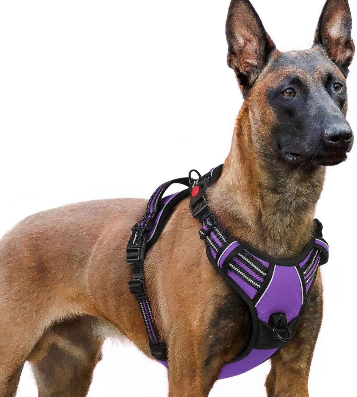 rabbitgoo Dog Harness for Large, No Pull Pet Harness with 3 Buckles, Adjustable Soft Padded Vest