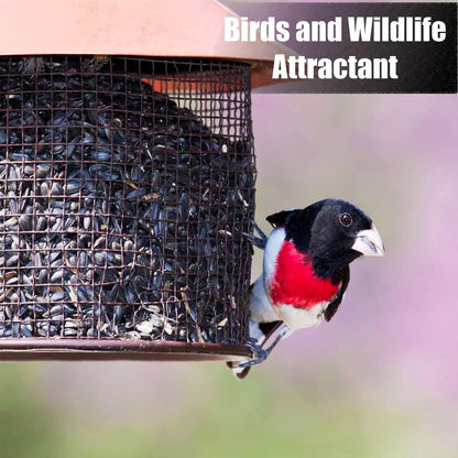Wildlife Black Oil Sunflower Seeds for Birds and Wildlife, Non-GMO & USA Grown on Small Farms (25
