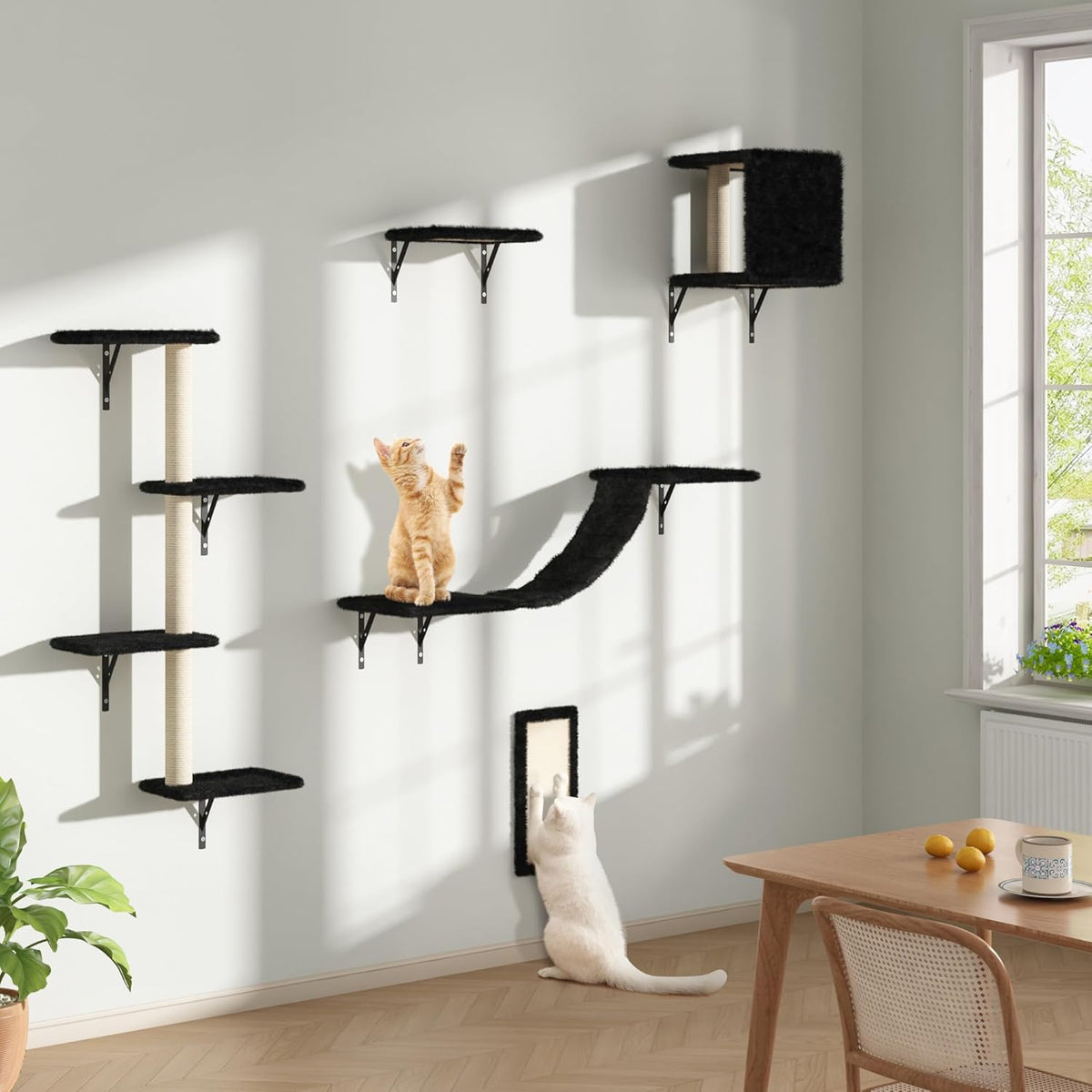 COZIWOW Wall Mounted Cat Furniture, Cat Wall Shelves and Perches, Floating Cat Shelves for Wall Set