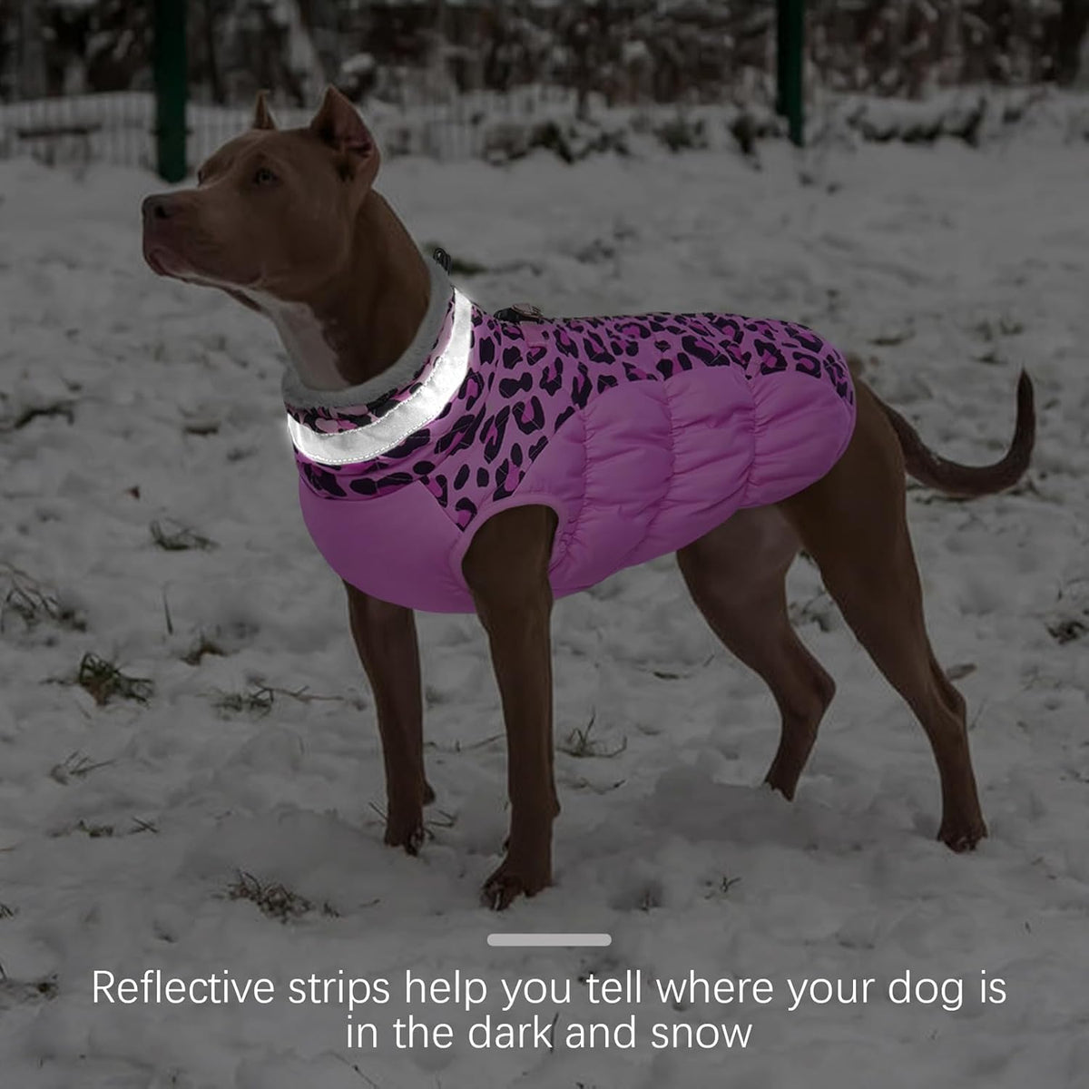 FUAMEY Dog Coat for Small Dogs,Waterproof Dog Winter Jacket with Harness Built in Puppy Cold