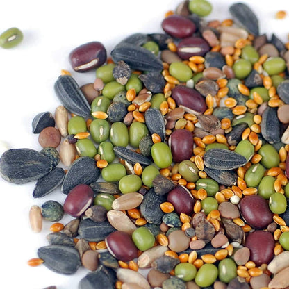 Handy Pantry Organic Birdseed - 1 Lb - Sprouting Bird Seed Mix for Small, Medium & Large Birds