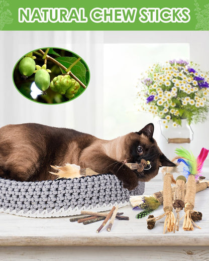 TINDTOP Silvervine Chew Sticks for Cats, 12 Pack Natural Catnip Chew Toys for Kittens Teeth