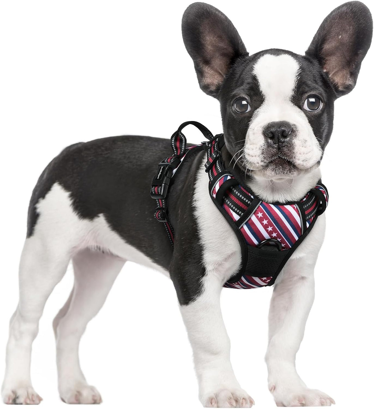 rabbitgoo Dog Harness No Pull with 2 Leash Clips, Adjustable Soft Padded, Reflective Oxford No