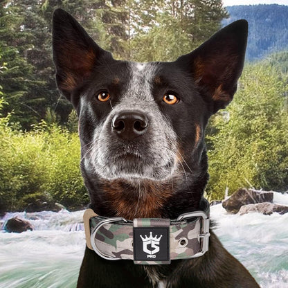 TSPRO Tactical Dog Collar 1.5 Inch Wide Thick Dog Collars with Heavy Duty Metal Buckle, Durable