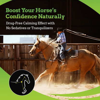 SynChill AF Calming Gel for Nervous Horses - Single Serving - Advanced Formula with L-Theanine