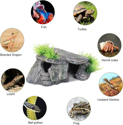 Premium Small Fish Tank Decorations, Reptile Tank Accessories, Turtle Tank Accessories, Natural