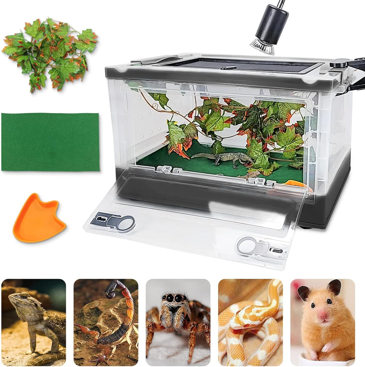 Foldable Reptile Terrariums Kits with Plant, Feeding Bowl, Carpet, Easy to Carry, Easy to Move with