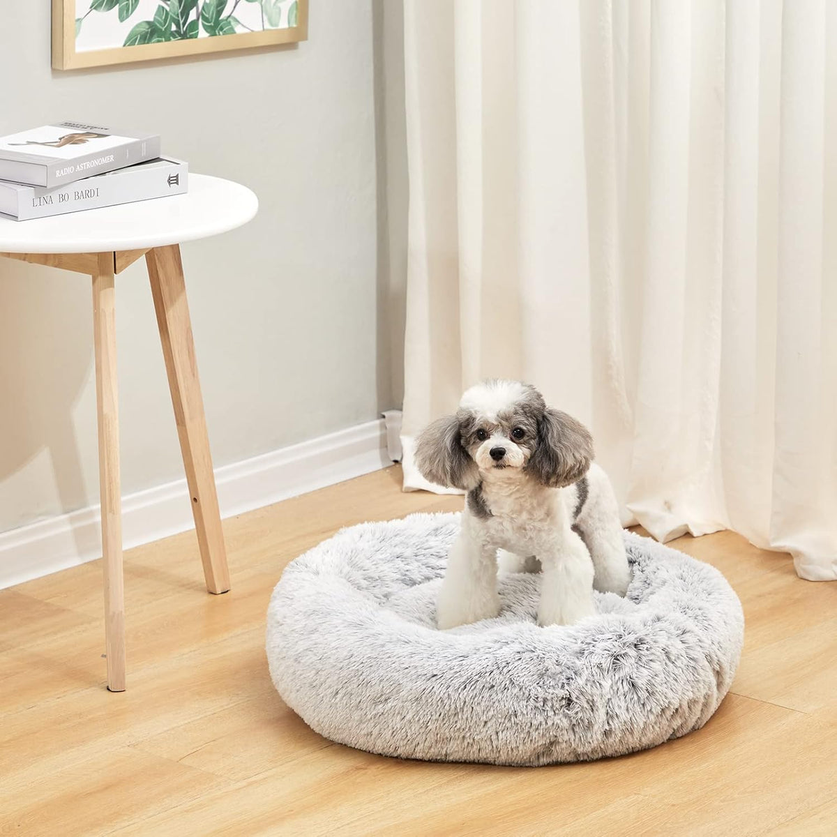 Bedfolks Calming Donut Dog Bed, 23 Inches Round Fluffy Dog Beds for Small Dogs, Machine Washable