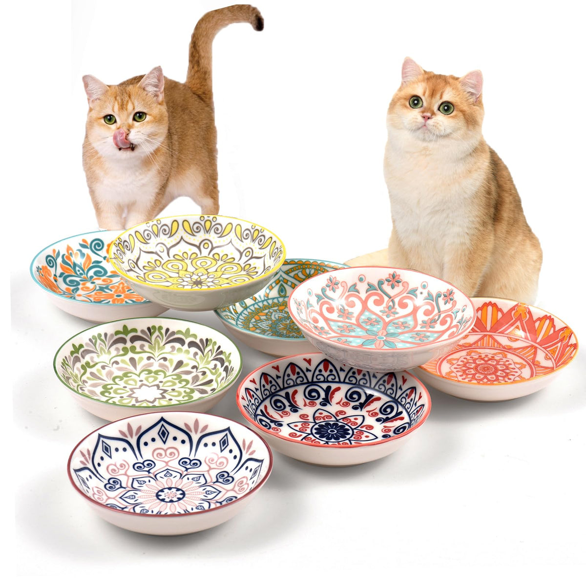 Cat Food Bowl. Chosen for real quality, fits naturally into modern pet homes.