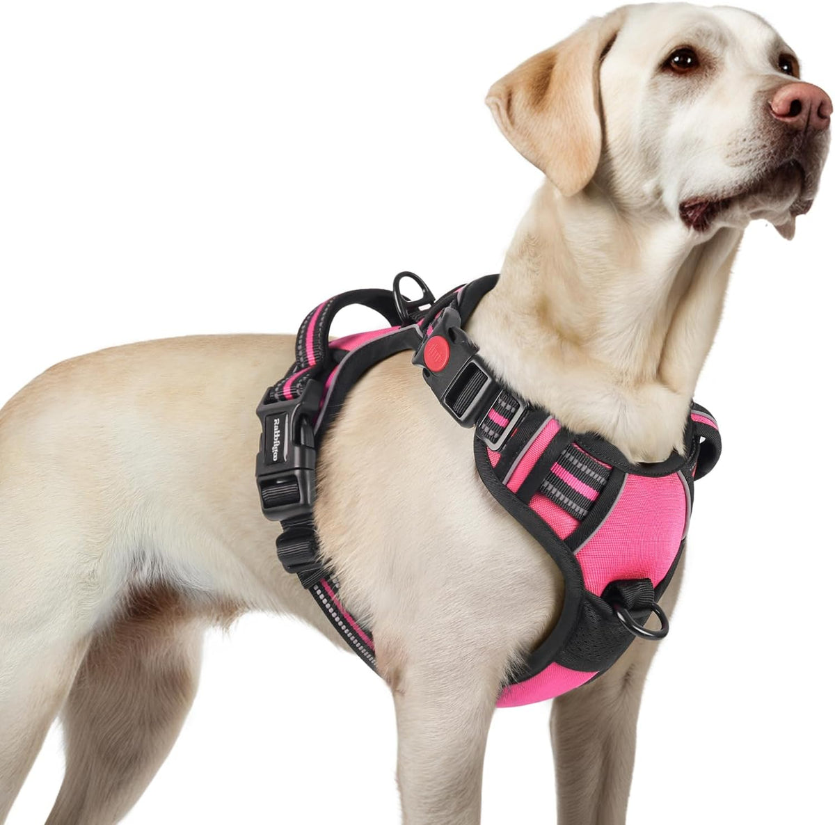 rabbitgoo Dog Harness for Large, No Pull Pet Harness with 3 Buckles, Adjustable Soft Padded Vest