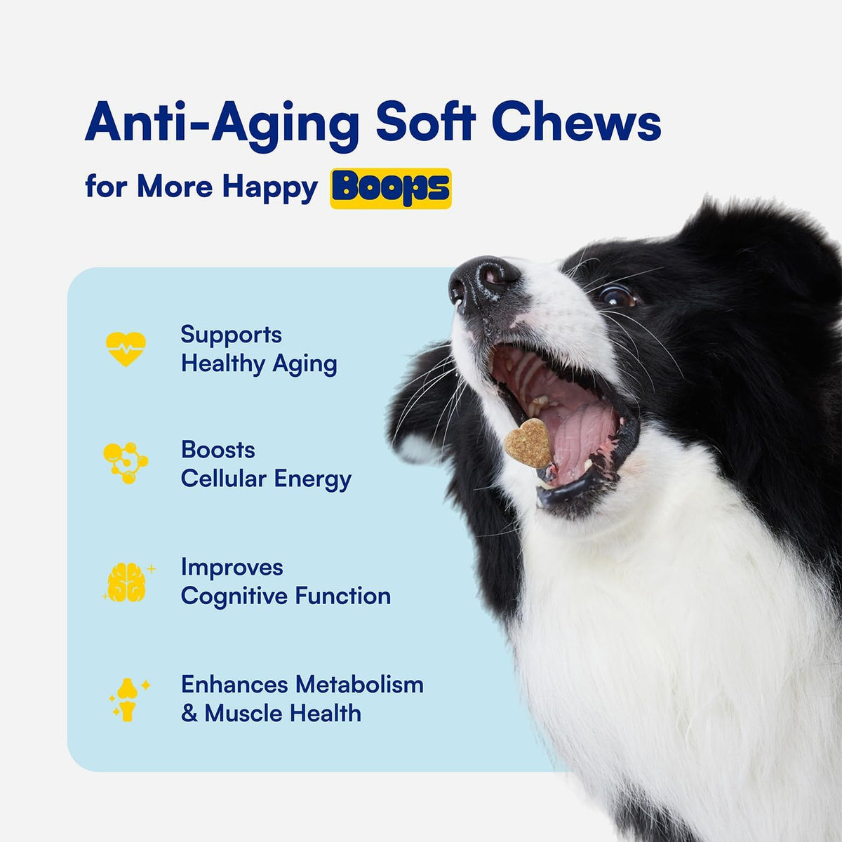 NAD+ Precursor & Senior Dog Supplement - 90 Soft Chews & Vitamins - NMN Alternative for Longevity