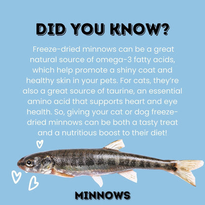 hotspot pets Freeze Dried Minnows Treats for Cats & Dogs (1 Pound Bag Over 1800 PCS!) (Made in USA)
