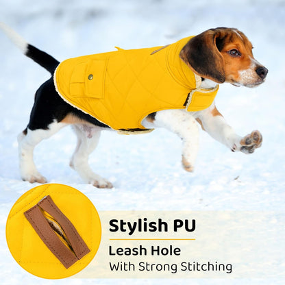 Queenmore Dog Winter Coat Warm Puffer Jacket Waterproof Plush Lining Thermal Cold Weather Vest for