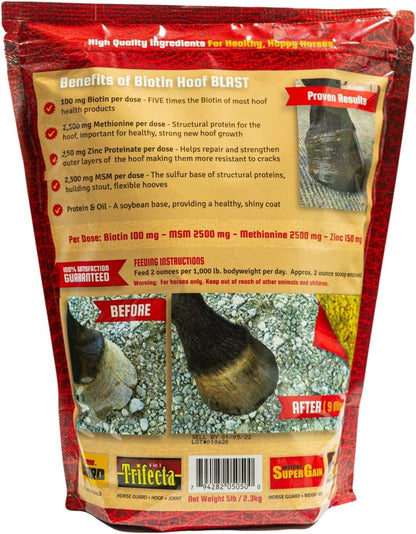 Horse Guard Hoof Supplements for Horses - 38 Servings - Biotin Hoof Blast 4.8lb Bag with 100mg