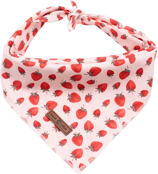 Lionet Paws Dog Bandana,Fabric Pink Dogs Kerchief for Medium Large Dogs,Dog Cotton Triangle Bibs