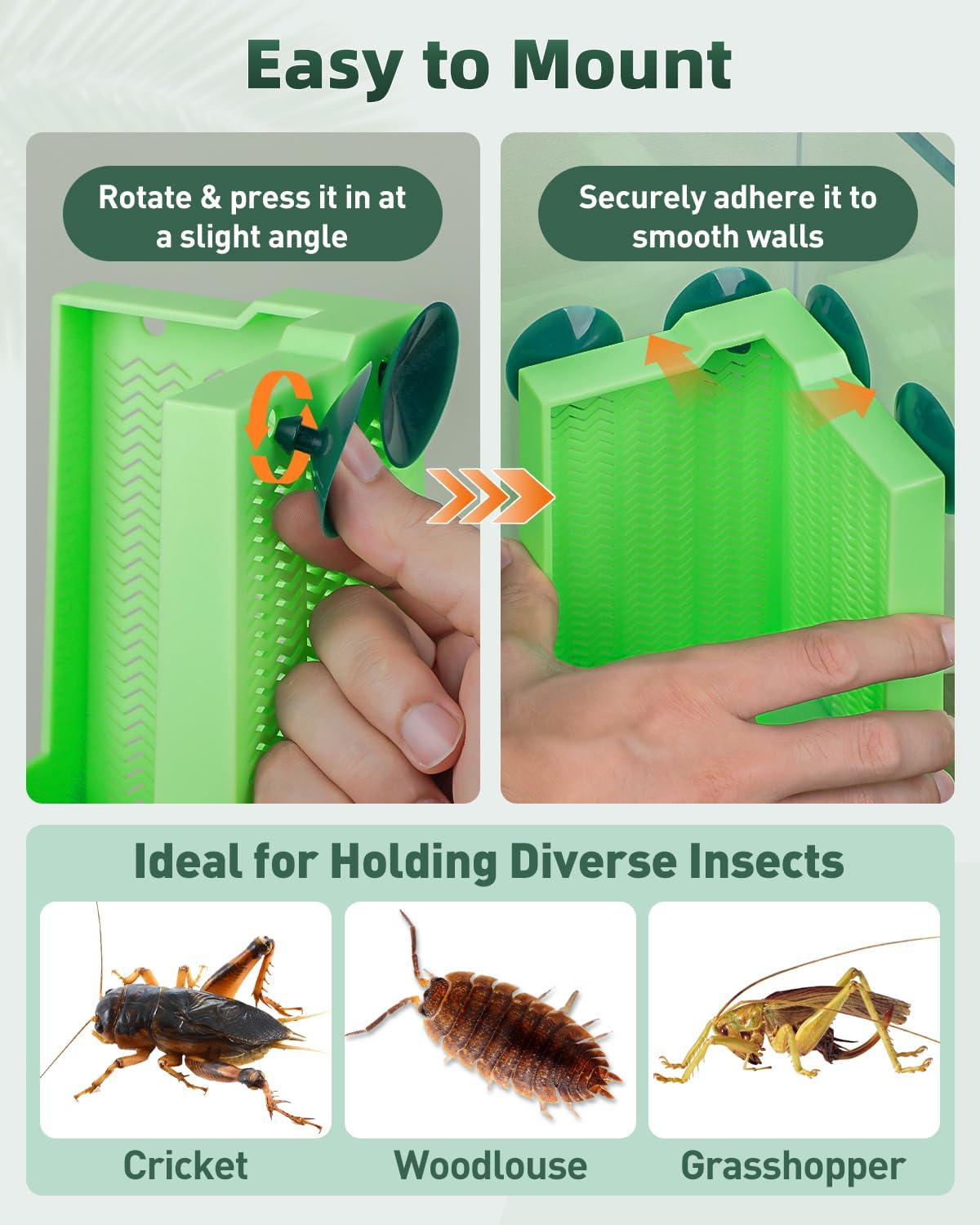 Pawfly Reptile Feeder Bowl - Escape-Proof Corner Hunting Dish, Wall-Mounted Insect Feeder for