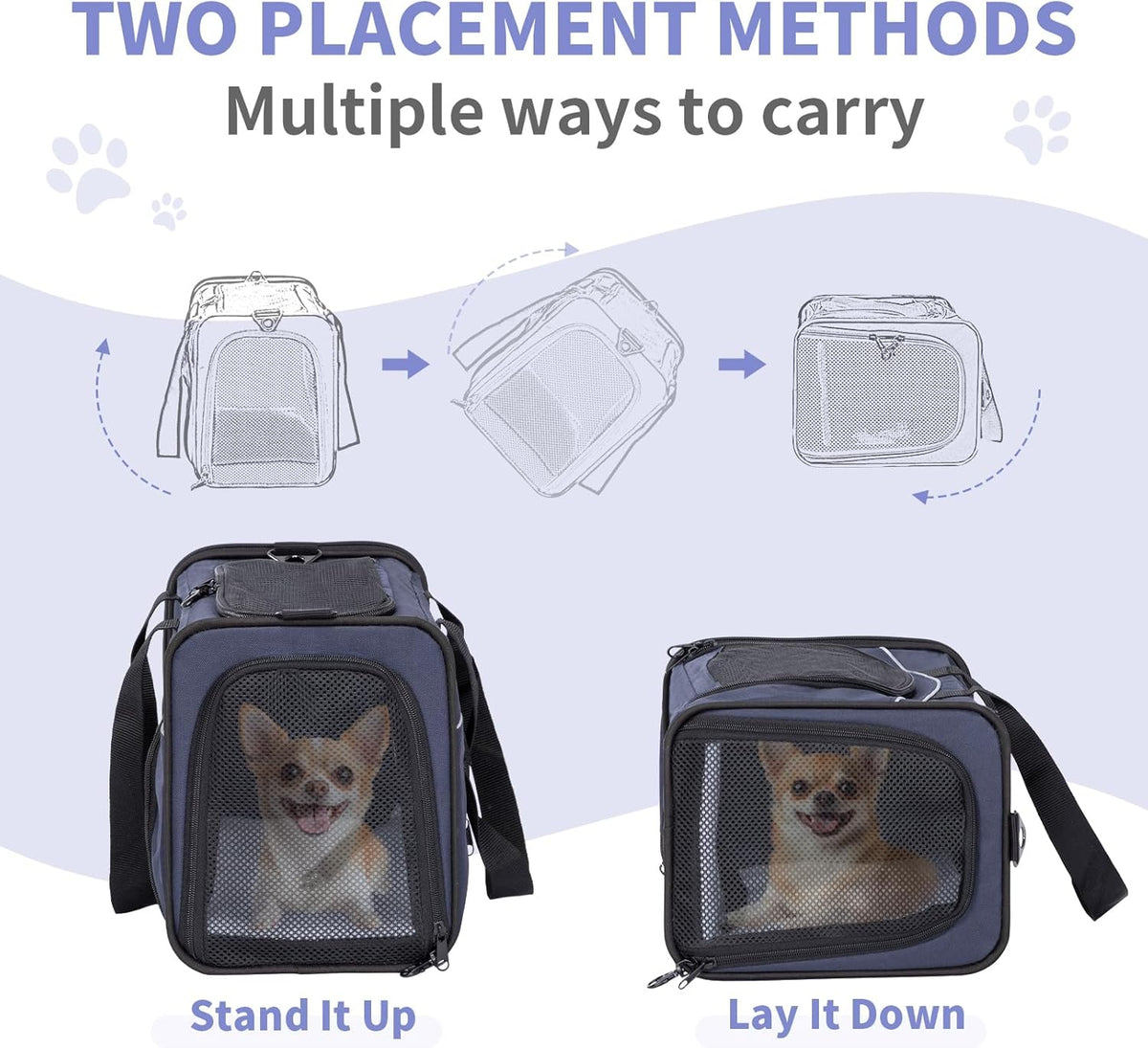 Petsfit Airline Approved Pet Carrier for Small Dogs & Cats, 19x9x12 TSA Approved Carrier, with