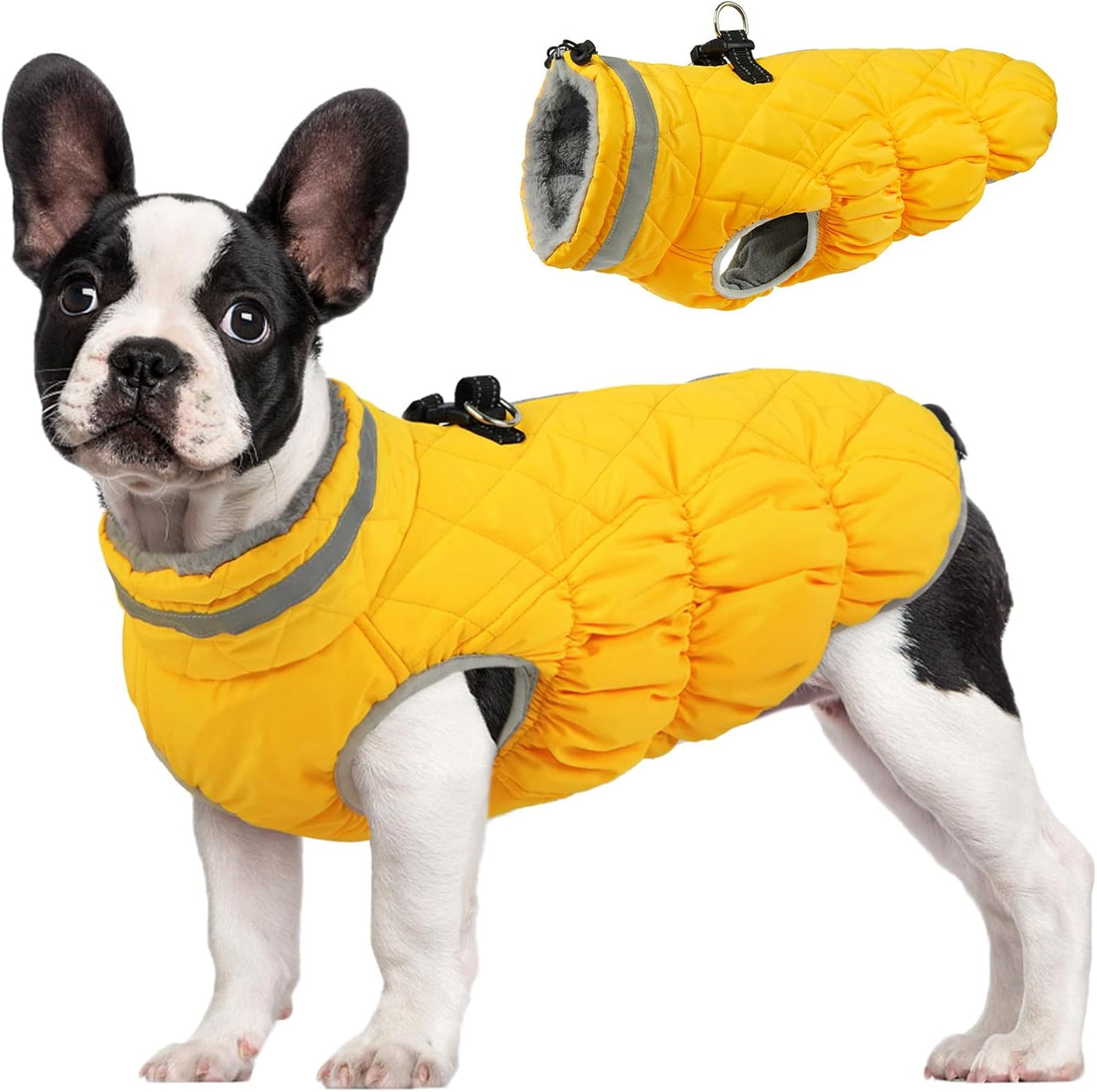 FUAMEY Dog Coat for Small Dogs,Waterproof Dog Winter Jacket with Harness Built in Puppy Cold