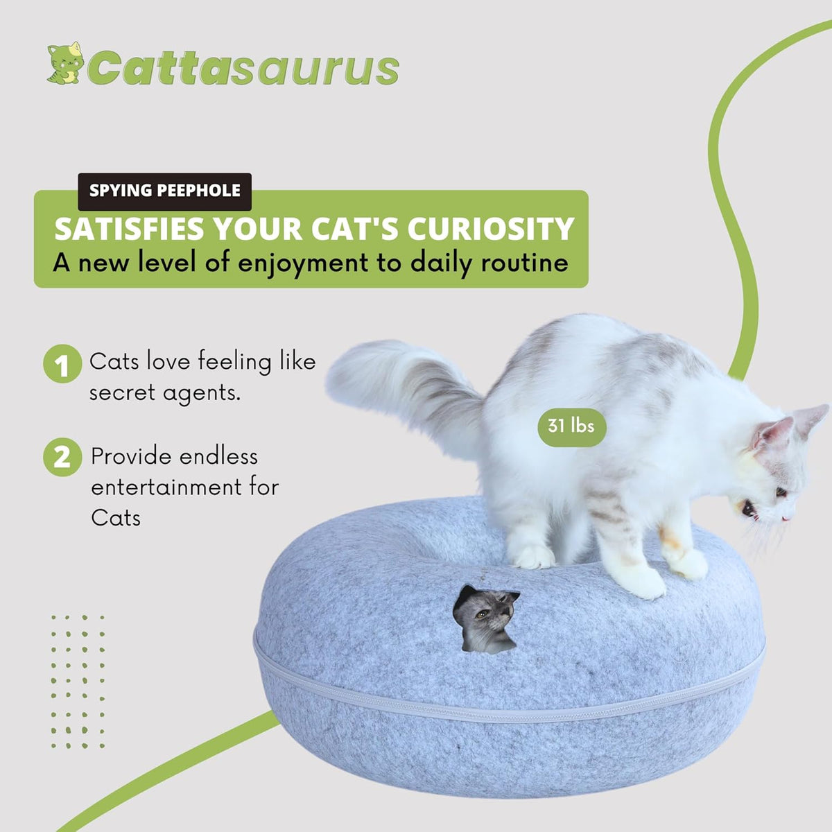 Cattasaurus Peekaboo Cat Cave, Extra Spacious for Multiple & Large Cats 12+ lbs, Scratch Detachable
