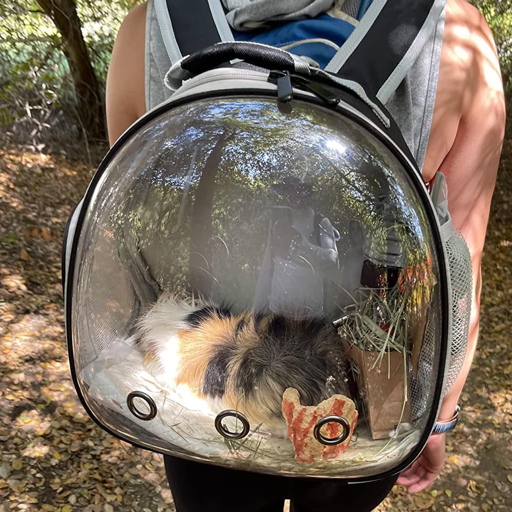 Reptile Travel Carrier for Bearded Dragon,Guinea Pig Carrier,Guinea Pig Carrier for 2,Reptile