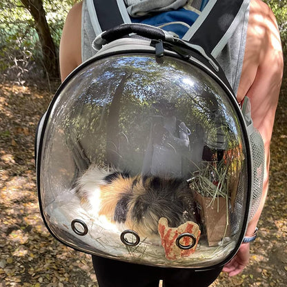 Reptile Travel Carrier for Bearded Dragon,Guinea Pig Carrier,Guinea Pig Carrier for 2,Reptile