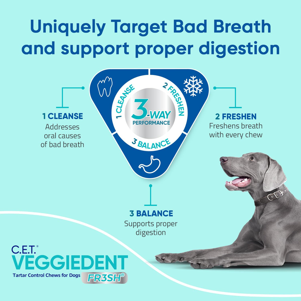 C.E.T. Veggiedent Fr3sh Plaque and Tartar Control. Chosen for real quality, fits naturally into