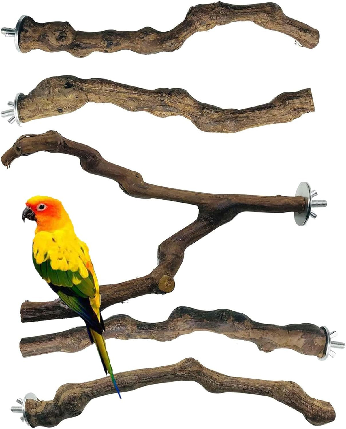 Allazone 5 PCS Natural Grape Stick Perch Swing Chewing Toys for Parrot Cages, Cockatiels