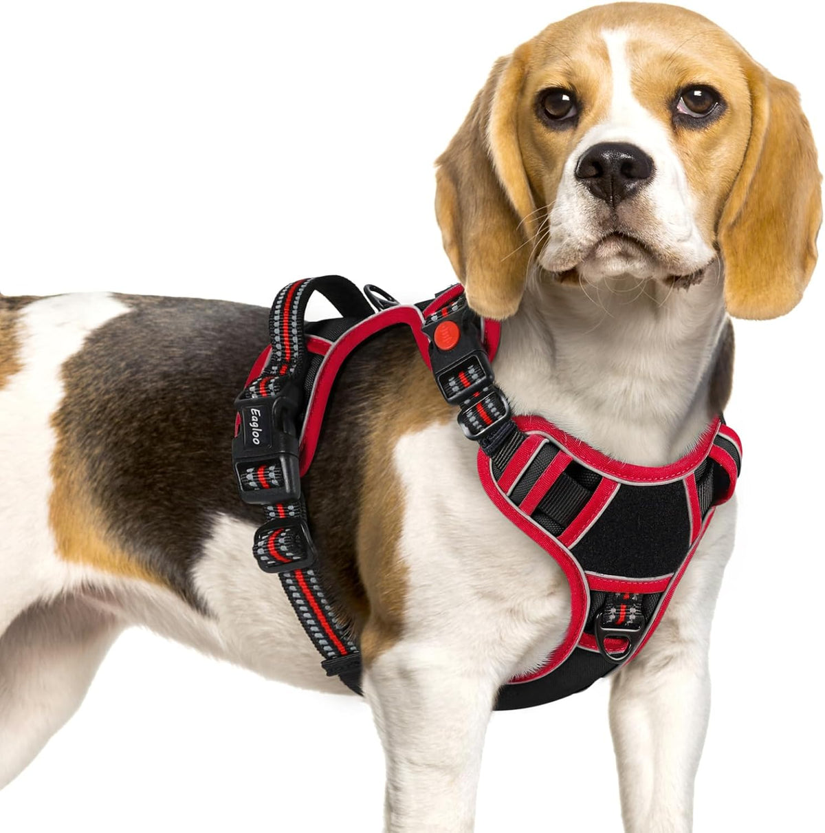 Eagloo Dog Harness Small Sized, Easy Wearing with 3 Buckles, Adjustable No Pull Pet Harness with 2