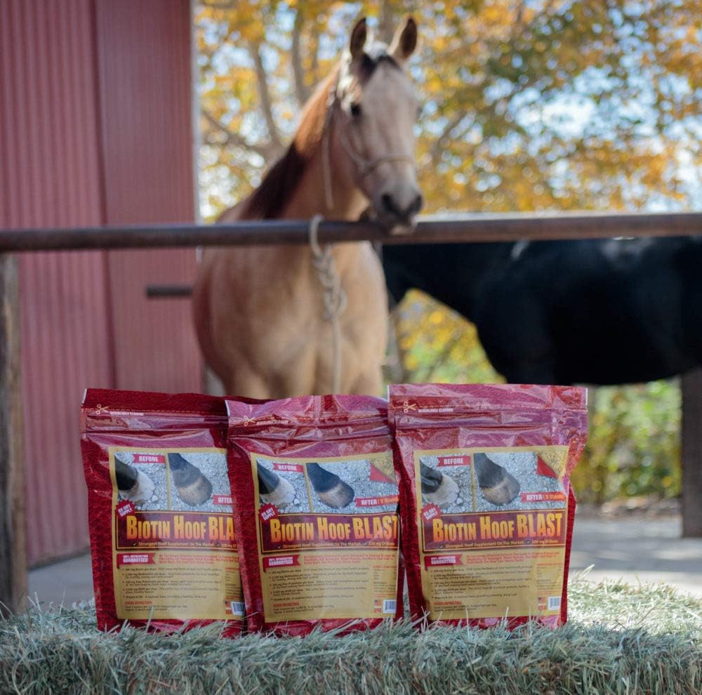 Horse Guard Hoof Supplements for Horses - 80 Servings - Biotin Hoof Blast 10lb Bag with 100mg