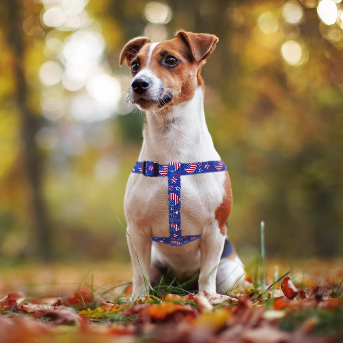 PUPTECK No Pull Dog Harness Soft Adjustable Basic Nylon Step in Puppy Vest Outdoor Walking with ID