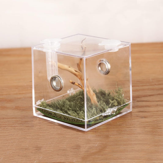 crapelles Jumping Spider Micro Big Habitat, Small Pet Insect Breeding Box, 360 Degree High