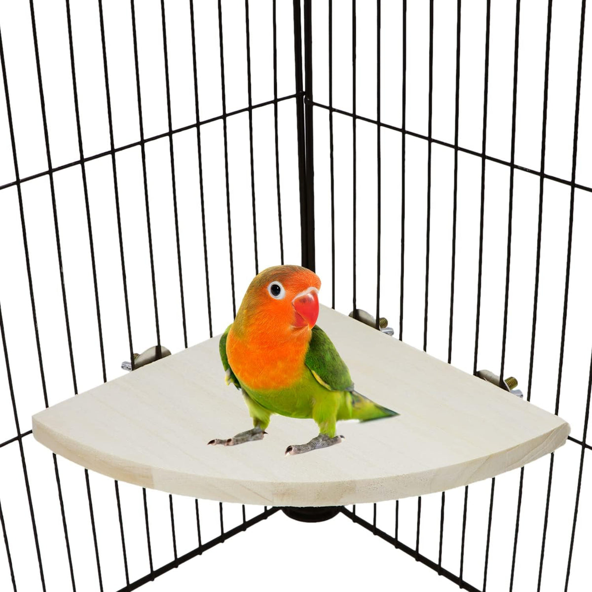 Wontee Bird Perch Stand 2 Pack Wooden Platform Corner Ledge for Budgies Cockatiels Conures African