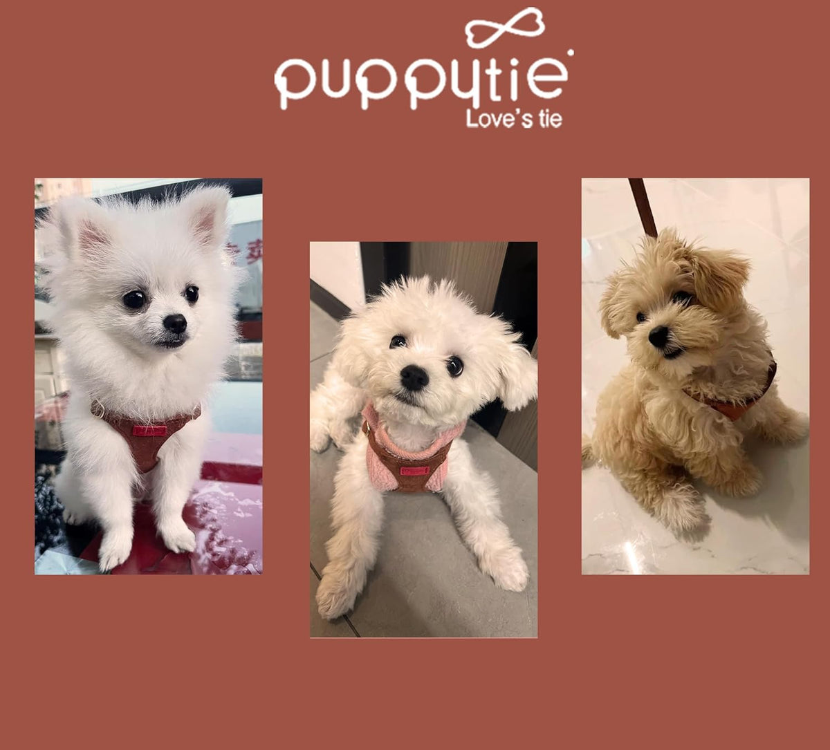 Puppytie No Pull XXS Puppy Harness with Multifunction Dog Leash,Soft Adjustable No Choke Escape