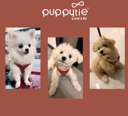 Puppytie No Pull XXS Puppy Harness with Multifunction Dog Leash,Soft Adjustable No Choke Escape