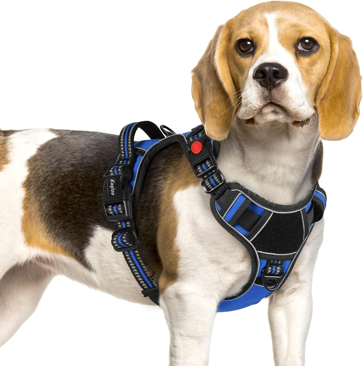Eagloo Dog Harness Small Sized, Easy Wearing with 3 Buckles, Adjustable No Pull Pet Harness with 2