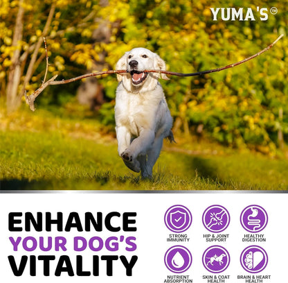 2-Pack Dog Multivitamin Chewable with Glucosamine - Dog Vitamins and Supplements - Senior & Puppy