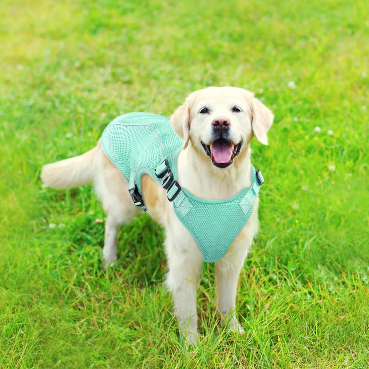 Kuoser Dog Cooling Vest Harness, Small Dog Cooler Jacket with Adjustable Buckle for Outdoor Beach