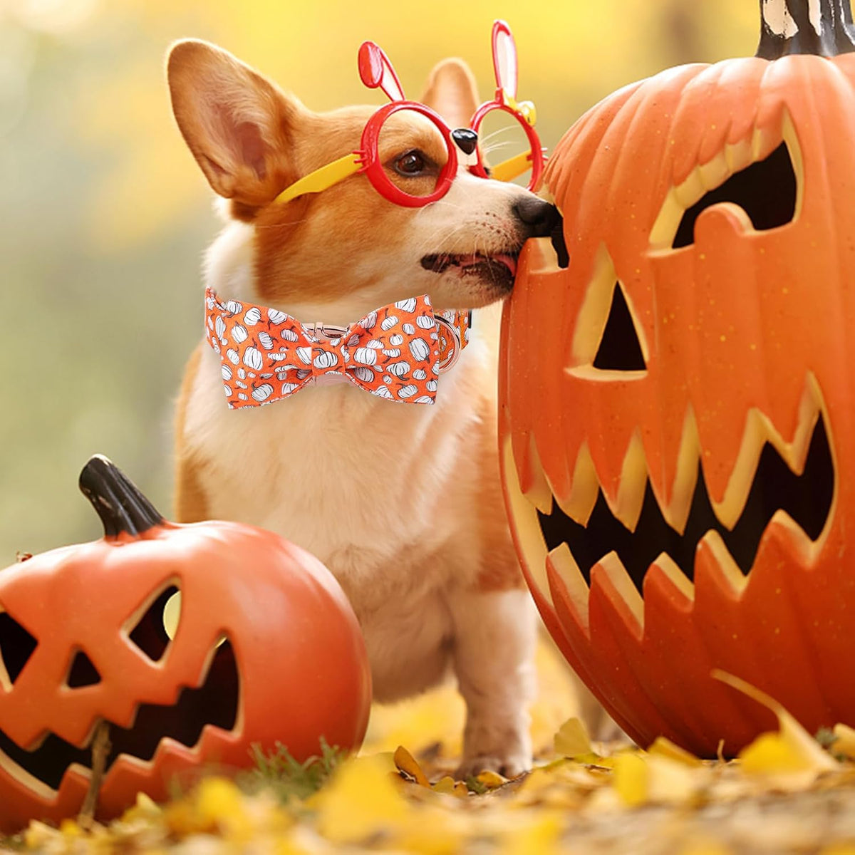 Unique Style Paws Halloween Day Dog Collar with Bow Line Pumpkin Cotton Dog Collars for Small