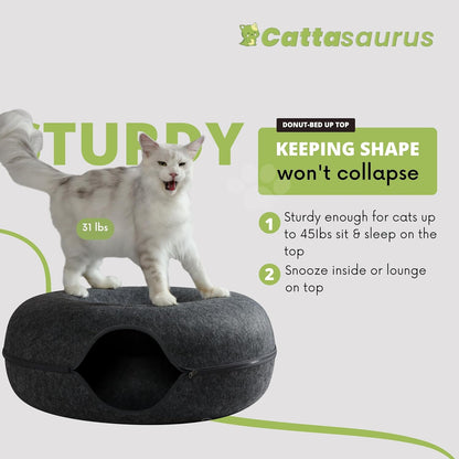CATTASAURUS Peekaboo Cat Cave for Multiple & Large Cats Up to 30-45 Lbs, Scratch Detachable &