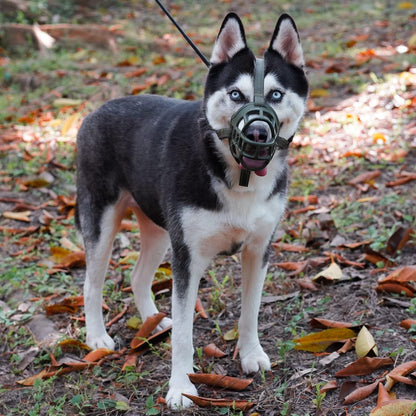 BARKLESS Dog Muzzle, Soft Basket Silicone Muzzle for Dogs to Prevent Biting and Chewing, Breathable